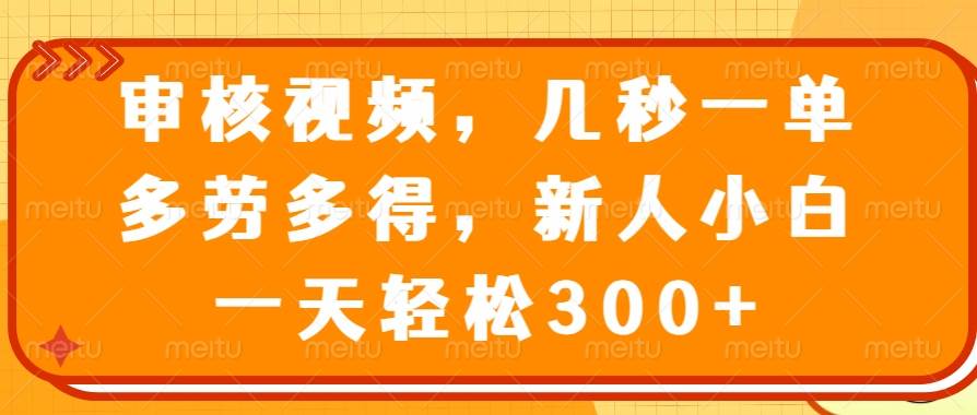 （14294期）审核视频，几秒一单，多劳多得，新人小白一天轻松300+-智点网