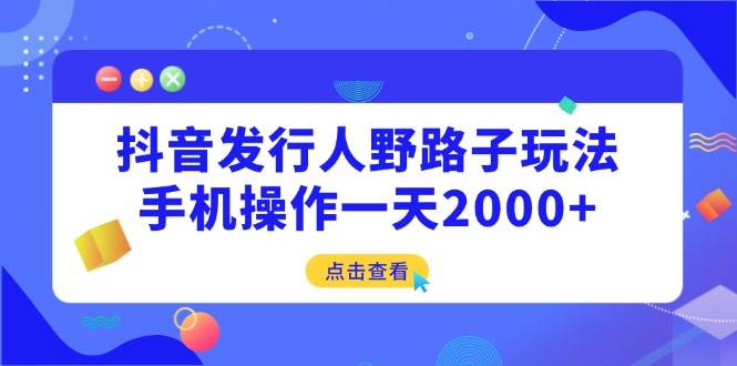 （14319期）抖音发行人野路子玩法，手机操作一天2000+-智点网