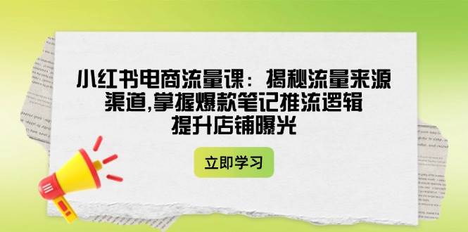 （14318期）小红书电商流量课：揭秘流量来源渠道,掌握爆款笔记推流逻辑,提升店铺曝光-智点网