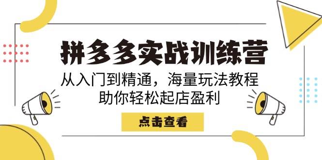 （14392期）拼多多实战训练营，从入门到精通，海量玩法教程，助你轻松起店盈利-智点网