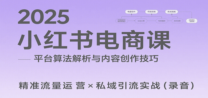 2025小红书电商课：解析算法，创作高转化内容，助力卖家获取流量实现变现(录音)-智点网
