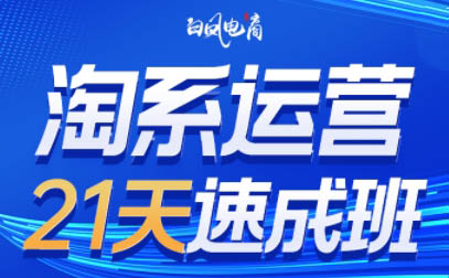 白凤电商·淘系运营21天速成班(更新8月)-智点网