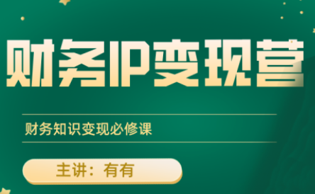 有有老师·财务IP变现营，财务知识变现必修课-智点网