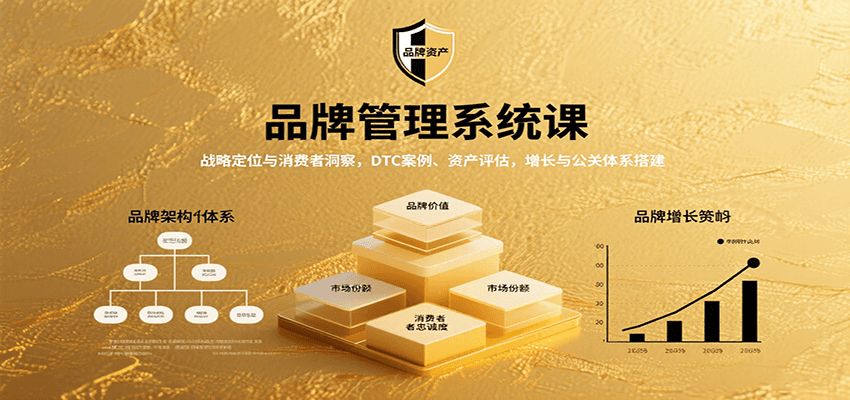品牌管理系统课：战略定位与消费者洞察，DTC案例、资产评估，增长与公关体系搭建-智点网
