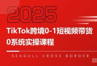 大亿老师·TikTok跨境0-1短视频带货-智点网