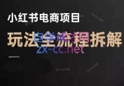 菲菲老师·小红书电商玩法(更新9月)-智点网