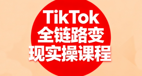 小杨老师·TikTok全链路变现实操课程-智点网