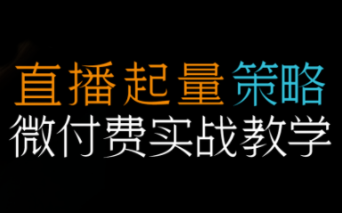 半野老师·直播带货起量与微付费必学课视频号-智点网