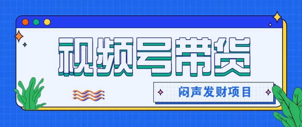 微信视频号带货项目，轻松日赚赚2000+，这个挣钱入口很多伙伴都在闷声发财-智点网