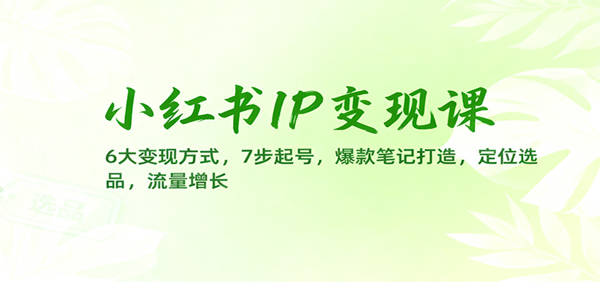 小红书IP变现课：6大变现方式，7步起号，爆款笔记打造，定位选品，流量增长-智点网
