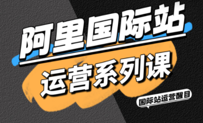 醒目老师·阿里国际站运营系列课(更新11月)-智点网
