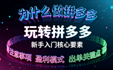 新手小白如何做拼多多-智点网