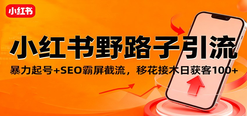 小红书野路子引流，暴力起号+SEO霸屏截流，移花接木日获客100+-智点网