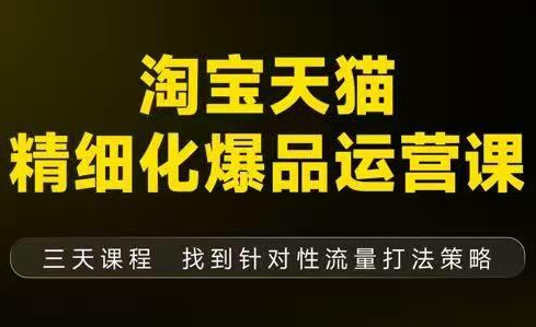 猫课子幽·淘宝天猫精细化爆品运营【音频+字幕+文档】(9月12-14杭州线下课)-智点网