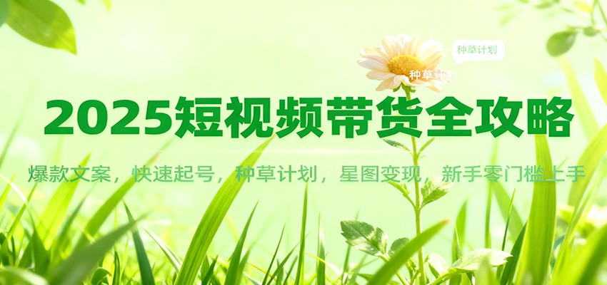 2025短视频带货全攻略：爆款文案，快速起号，种草计划，星图变现，新手零门槛上手-智点网