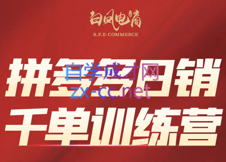 白凤电商·拼多多日销千单训练营(更新11月)-智点网