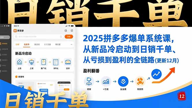 2025拼多多爆单系统课，从新品冷启动到日销千单、从亏损到盈利的全链路(更新12月-智点网