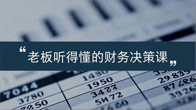 老板能听得懂的财务决策课，报表解读、数据洞察、风险识别，用财务驱动业务增长-智点网