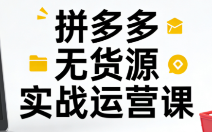 子枫老师·拼多多无货源实战运营课(更新12月)-智点网