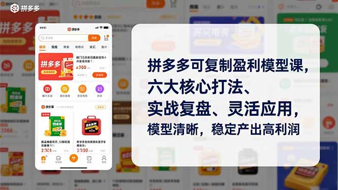拼多多可复制盈利模型课，六大核心打法、实战复盘、灵活应用，模型清晰，稳定产出高利润-智点网