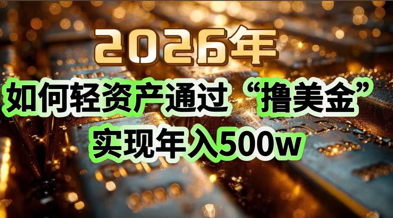 2026年如何轻资产通过“撸美金”实现年入500w-智点网