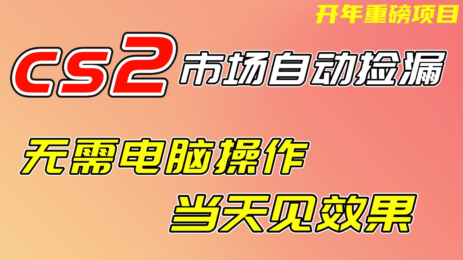 CS2市场挂机项，无需电脑操作，无需进入游戏，当天见效果，支持任何形式验证-智点网