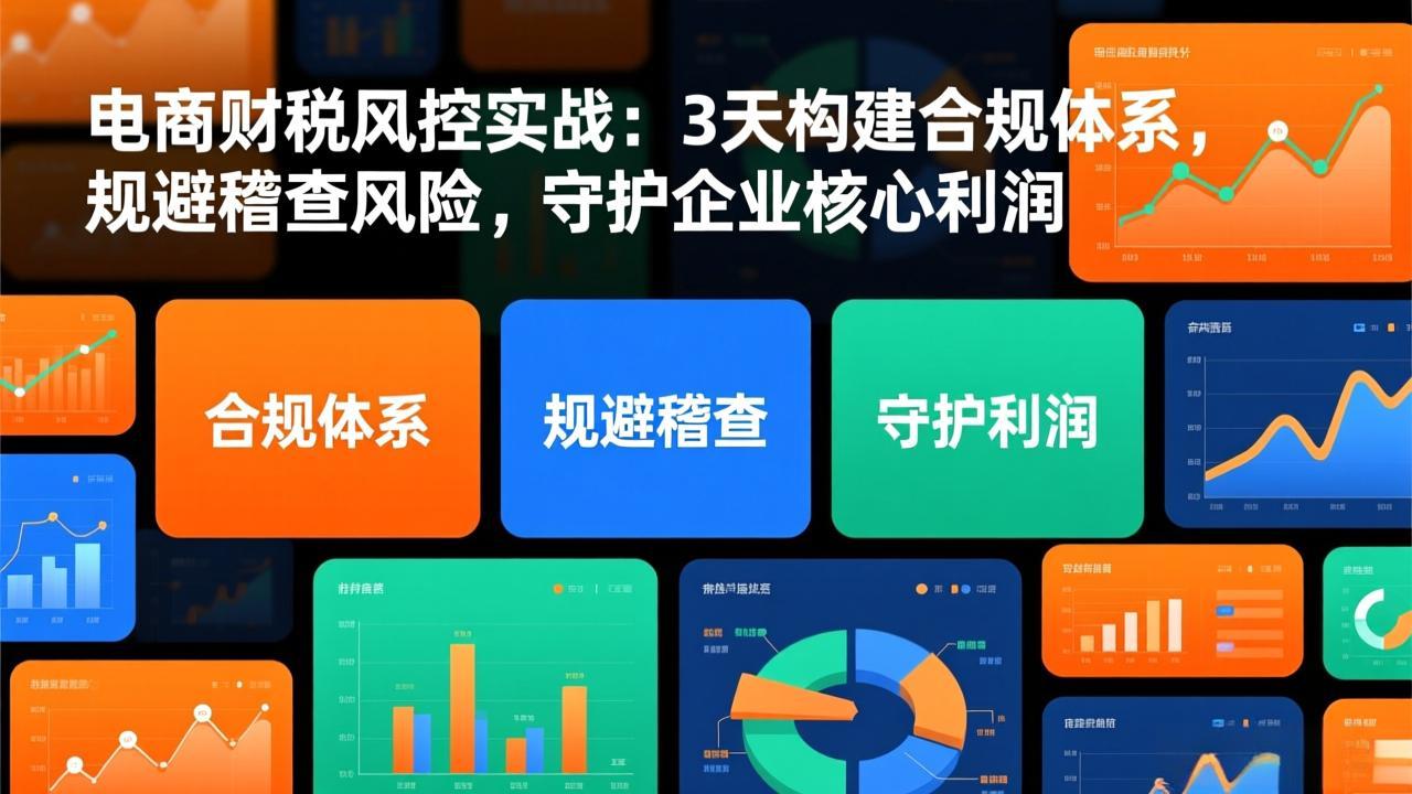 电商财税风控实战：3天构建合规体系，规避稽查风险，守护企业核心利润-智点网