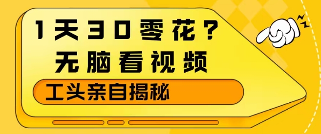 1天30零花？无脑看视频，大佬亲自揭秘-智点网