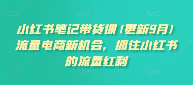 小红书笔记带货课，流量电商新机会，抓住小红书的流量红利(更新26年2月)-智点网