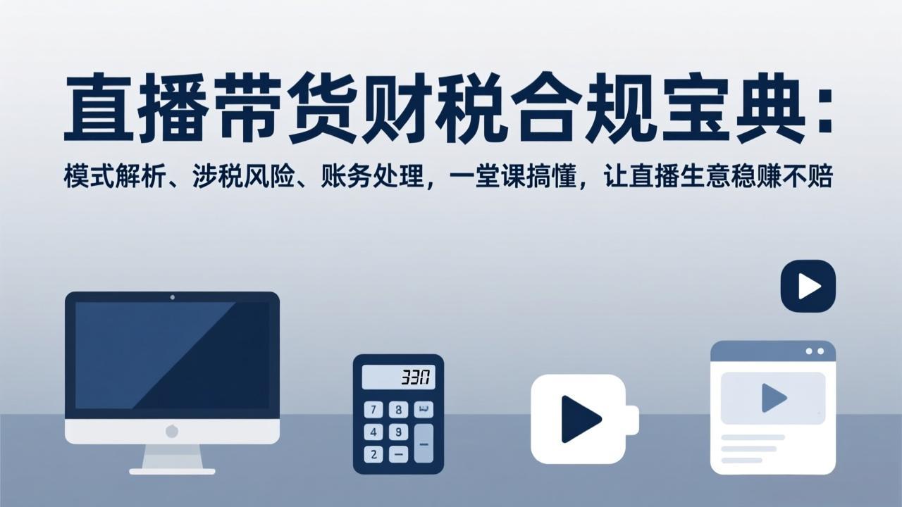 直播带货财税合规宝典：模式解析、涉税风险、账务处理，一堂课搞懂，让直播生意稳赚不赔-智点网