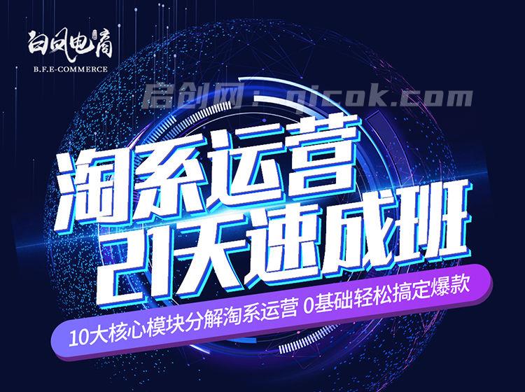 白凤电商-淘系运营21天速成班2026年3月更新(价值4999元)-智点网