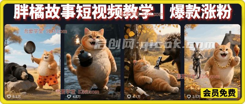 胖橘故事短视频教学,爆款涨粉-智点网