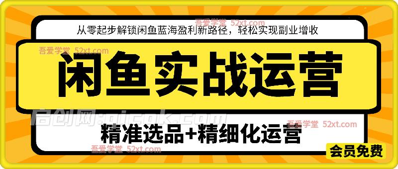 闲鱼实战运营，从零起步解锁闲鱼蓝海盈利新路径，轻松实现副业增收-智点网