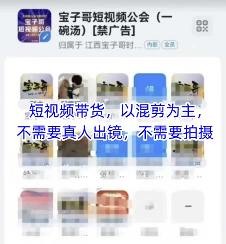宝子哥头部团队短视频带货，以混剪为主，不需要真人出镜，不需要拍摄【更新26年3月】-智点网