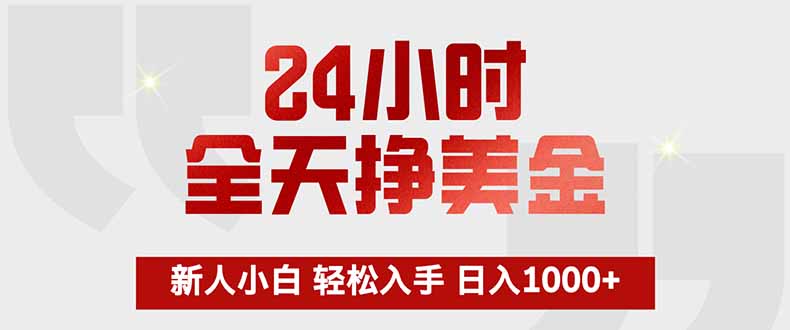 24小时全天挣美金，新人小白轻松入手，长期稳定，日入1000+-智点网