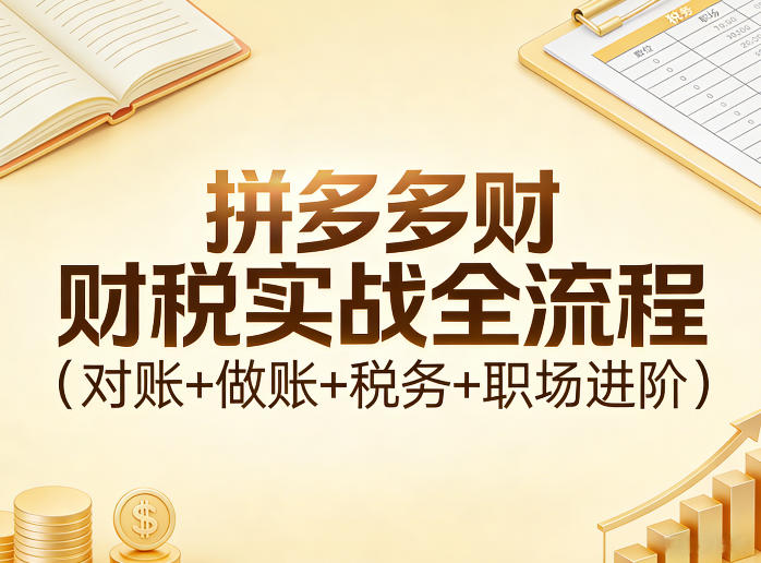 拼多多财税实战全流程(对账+做账+税务+职场进阶)-智点网