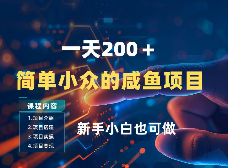 一天收入2张，一个简单小众的咸鱼项目，0门槛小白也能做-智点网
