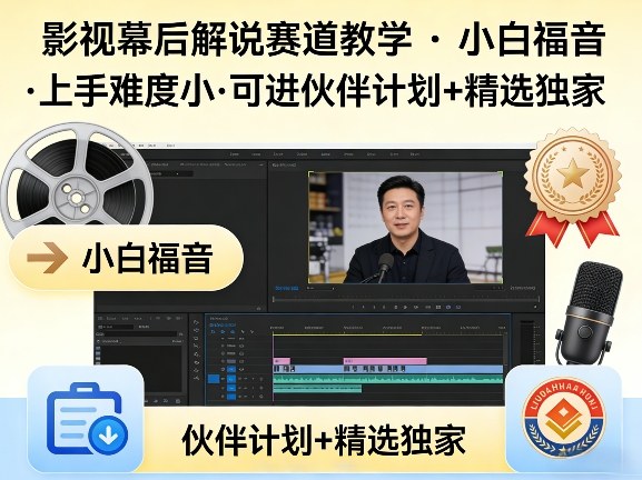 某大佬的影视幕后解说赛道教学，小白福音，上手难度小，可进伙伴计划+精选独家-智点网