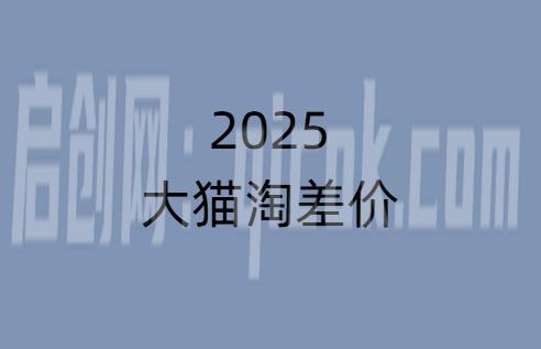 2025版大猫淘差价课程无货源电商2026年4月11日(价值3980元)-智点网