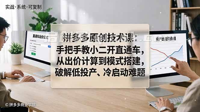 （18159期）拼多多原创技术课：手把手教小二开直通车，从出价计算到模式搭建，破解低投产、冷启动难题-智点网