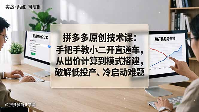 拼多多原创技术课：手把手教小二开直通车，从出价计算到模式搭建，破解低投产、冷启动难题-智点网