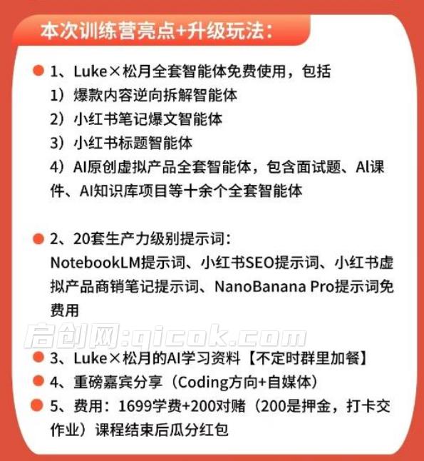 图片[2]-AI-IP从内容流量到人公司商业化14天训练营，3月最新课程-启创网