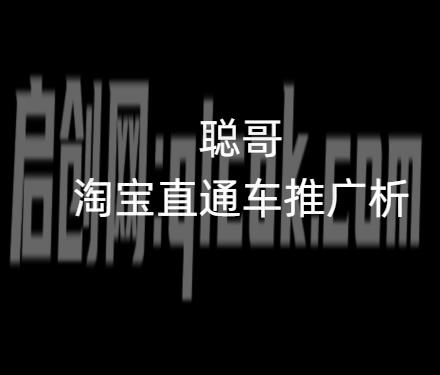 聪哥淘宝直通车推广解析(价值12800元)-智点网