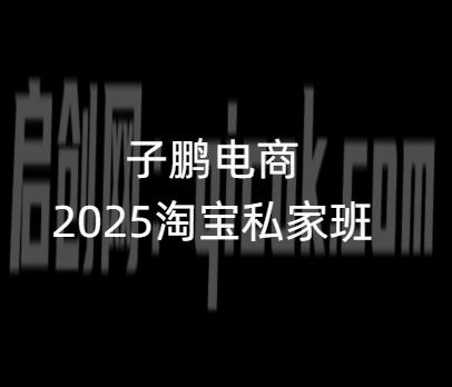 子鹏讲电商-淘宝私家班26年1月(价值4980元)-智点网