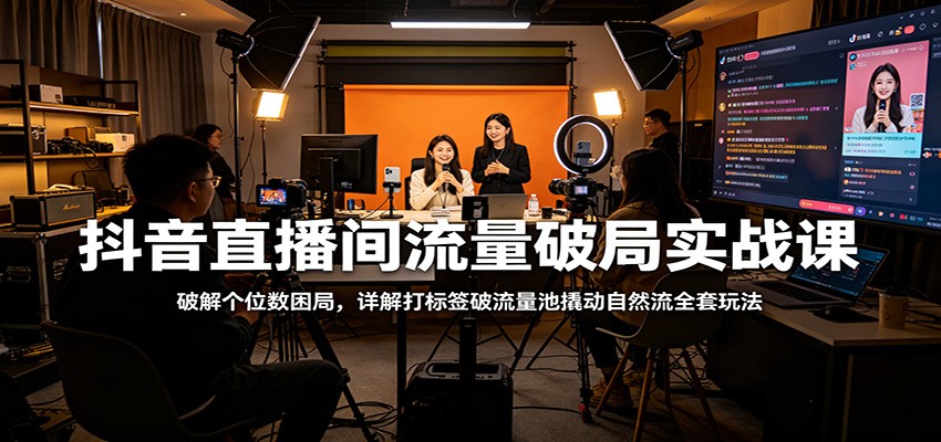 抖音直播间流量破局实战课：破解个位数困局，详解打标签破流量池撬动自然流全套玩法-智点网