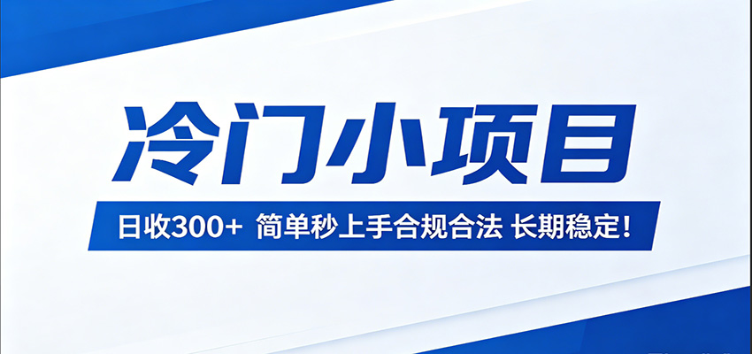 冷门小项目，日收300＋，简单秒上手合规合法，长期稳定！-智点网