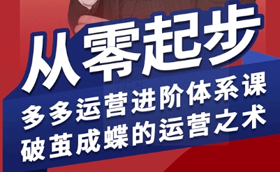 拼多多运营进阶系统课，从零起步，多多运营进阶体系课，破茧成蝶的运营之术(更新26年4月)-智点网