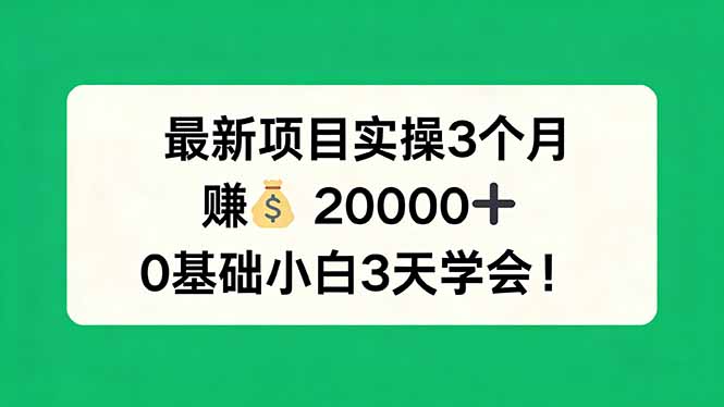 最新项目实操3个月，赚钱20000+，0基础小白3天学会！-智点网