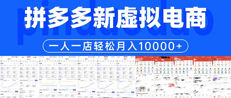 拼多多虚拟电商一人一店轻松月入10000+-智点网