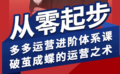 海神·拼多多运营进阶系统课(更新2026)-智点网